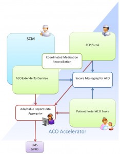 Accountable-Care-Organization